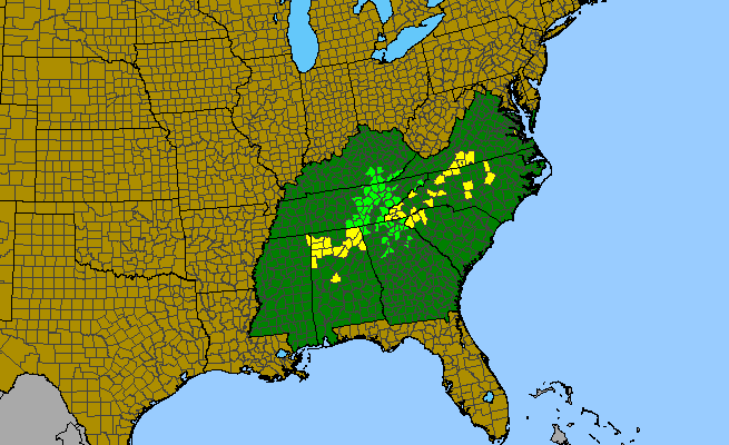 The range of Stewartia ovata